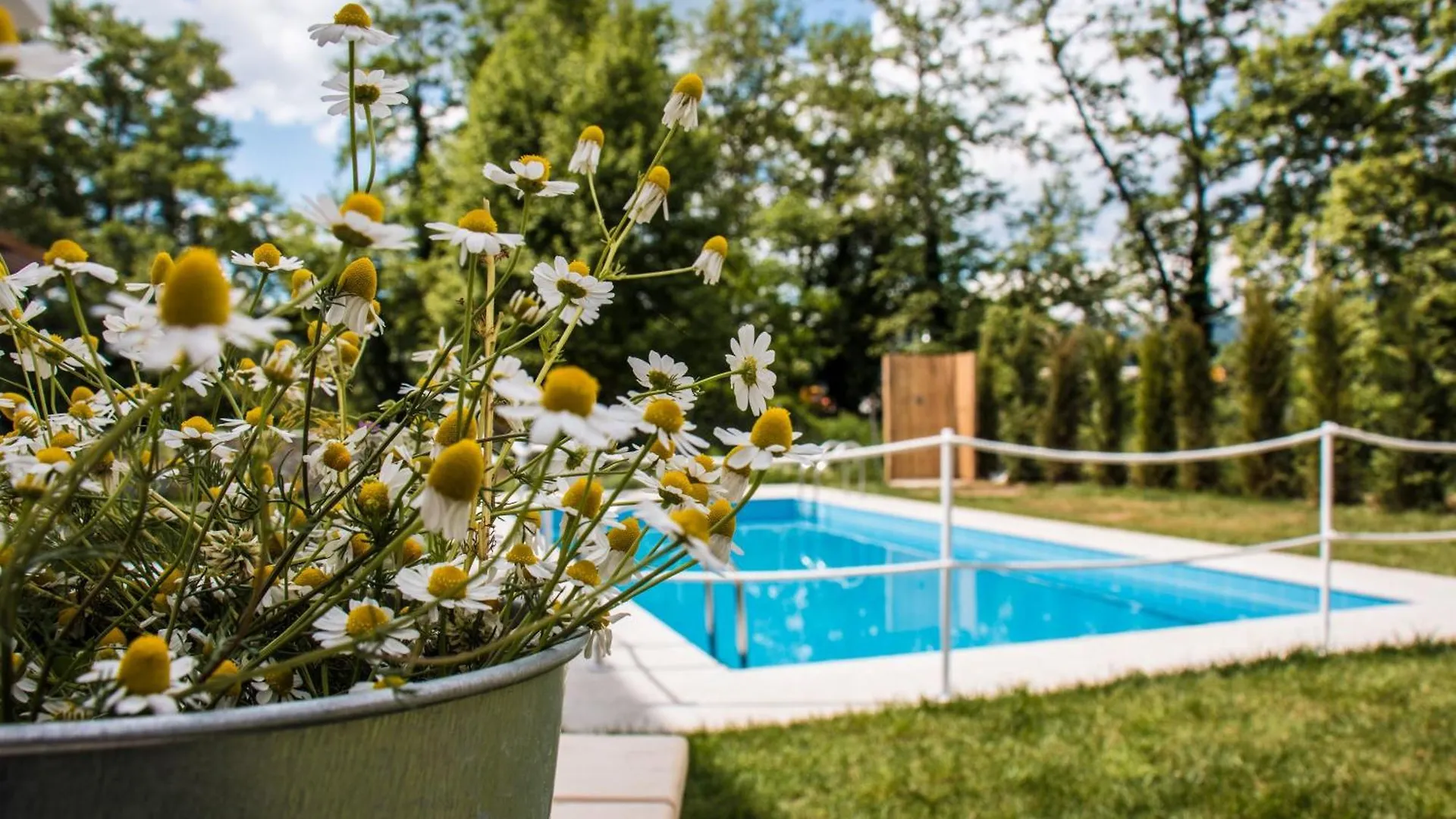 Aristotelia Gi Ikies - Olympiada Poolside Retreats